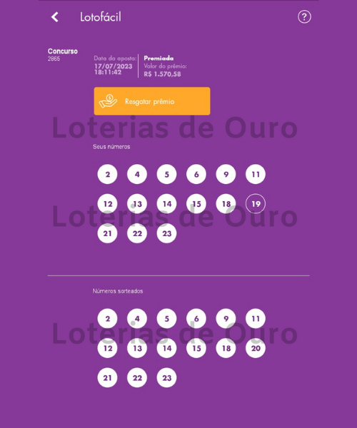 Design sem nome (22)